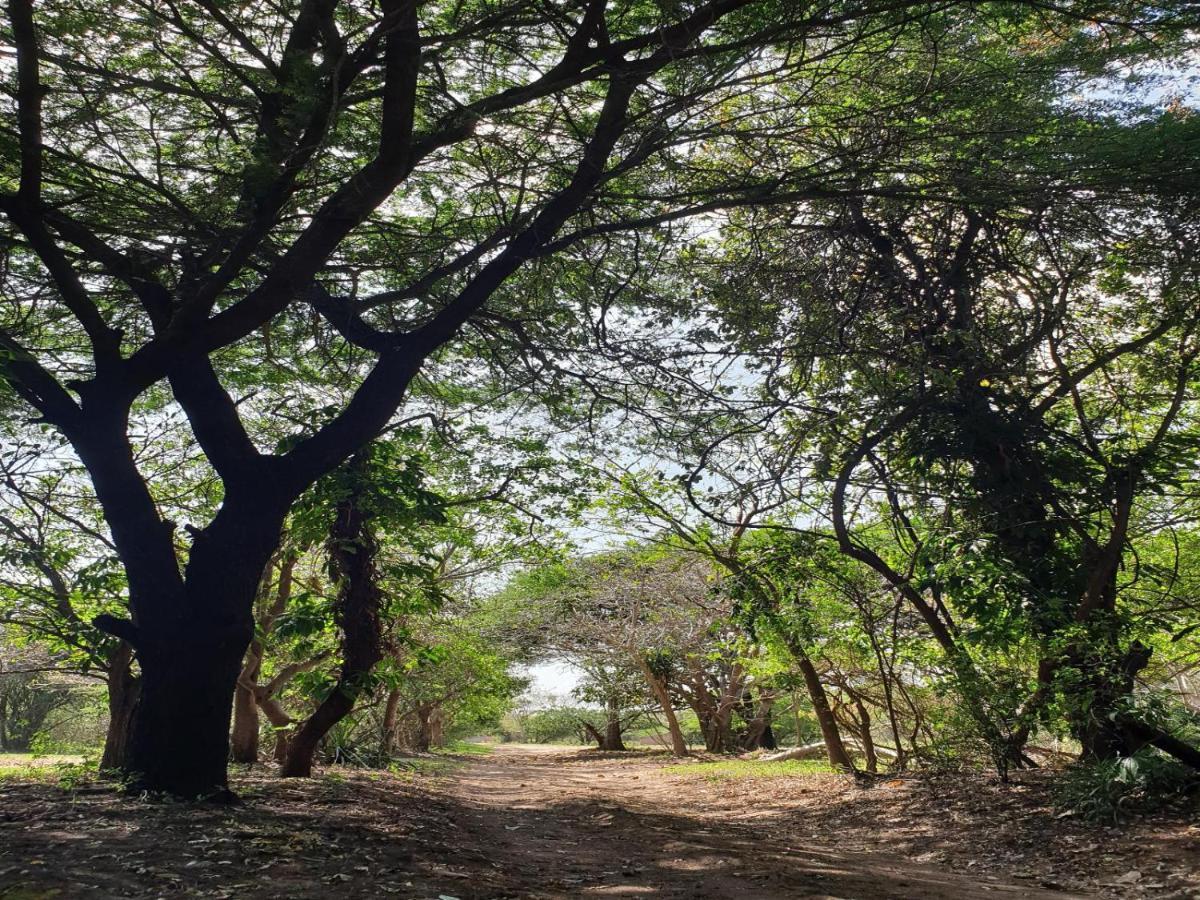 Pumusa Bushcamp Hluhluwe Bagian luar foto