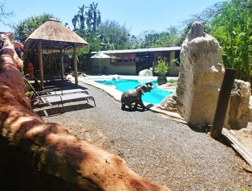 Pumusa Bushcamp Hluhluwe Bagian luar foto